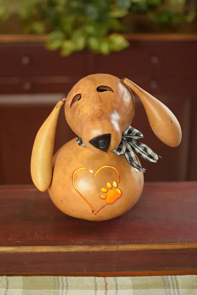 Dog and Cat Gourds - Available in Multiple Sizes