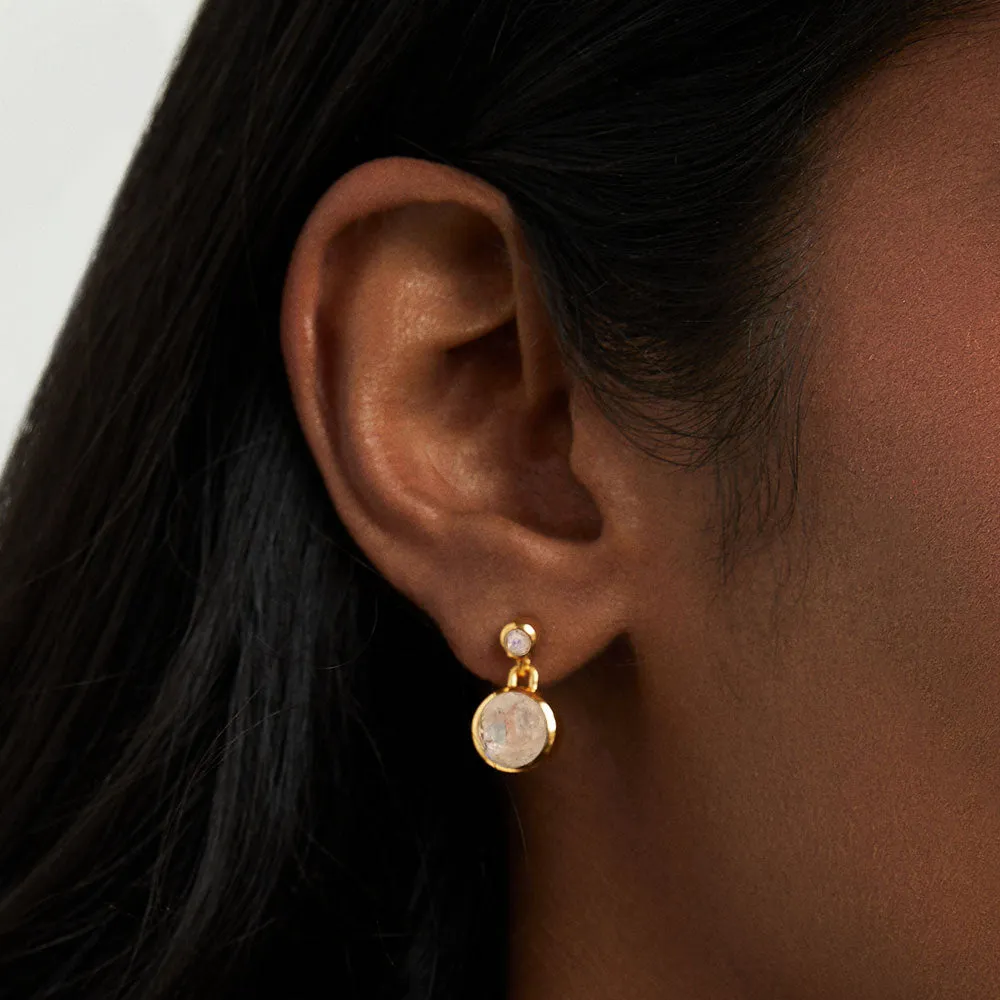 Signature Droplet Earrings