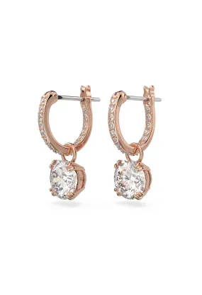 Swarovski Constella: Round Cut Pave Drop Earrings Rose Gold Plated