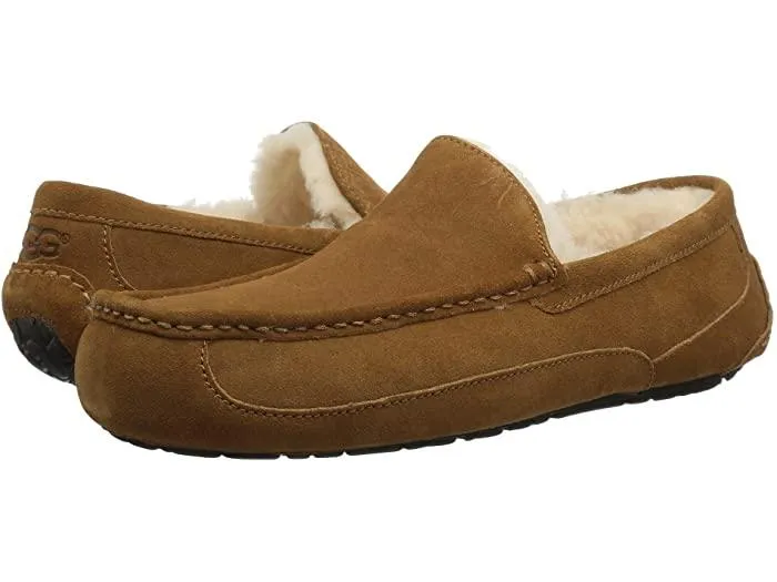 UGG Men's Ascot Slipper Suede