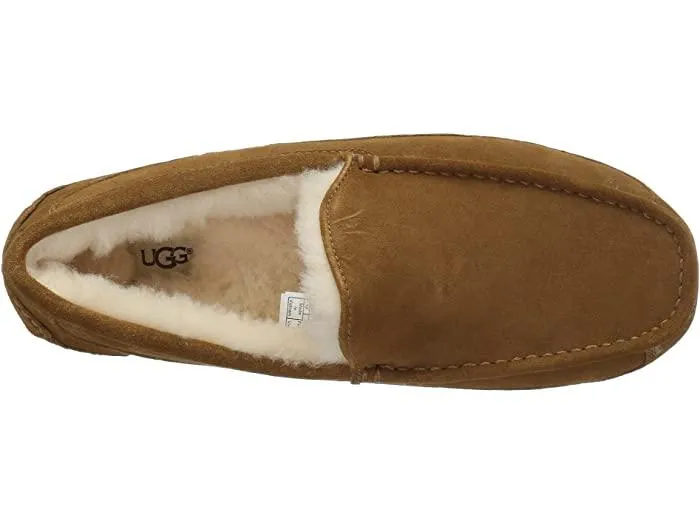 UGG Men's Ascot Slipper Suede